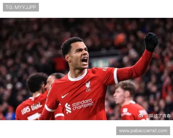 哈曼称利物浦可引进布兰斯维特并相信埃弗顿球迷能理解此举措行为 哈曼称利物浦可引进布兰斯维特并相信埃弗顿球迷能理解此举措行为