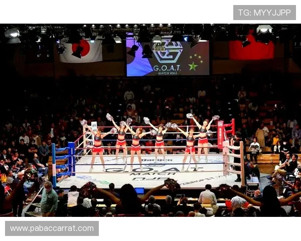 震撼来袭突发拳击重量级对抗赛精彩上演巅峰对决引爆全场热血沸腾