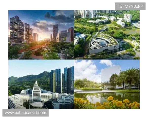 征途国际：探索全球市场新机遇与发展趋势的创新之路