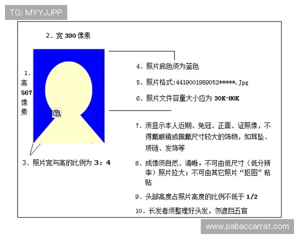 Pinnacle中文全面解析与实用指南助力用户高效掌握技能
