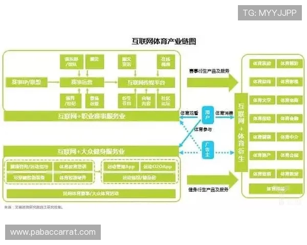 以体育投注网站为核心的线上娱乐发展趋势与风险防范指南研究报告